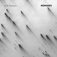 Julien Bigorgne-Monades